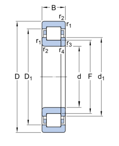 Картинка NUP 309 ECP  подшипник SKF от компании «BC Industry» Корпуса, корпусные подшипники, подшипниковые узлы, смазки для подшипников, сальники, манжеты, уплотнения - купить в Шымкенте, в Алматы. Купить подшипники в Шымкенте. Купить подшипники в Алматы. SKF Казахстан.