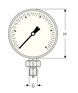 1077589/2  Манометр SKF
