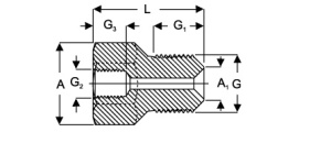 Картинка 228027 Е Переходник с трубной резьбой SKF от компании «BC Industry» - Профессиональное оборудование для обслуживания промышленных трансмиссий, подшипниковых узлов, валов, ременного привода, шкивов, валов. Инструменты монтажа и демонтажа подшипников, выверка шкивов, соосности, лазерная центровка валов - Алматы, Шымкент, Казахстан..